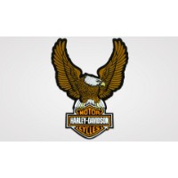 Aufnäher Eagle B&S Large