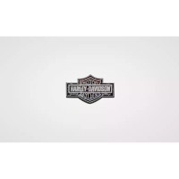 PIN FLAG TRADEMARK BAR&SHIELD