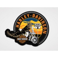 Aufnäher Eagle Globetrotter