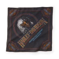 BANDANA SOARING RIDE