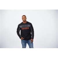 Langarm Shirt Colorblock Letter Tee