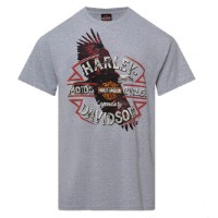 T-Shirt Feather
