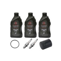 Inspektionsset Sportster Schwarz