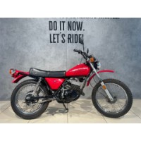 SXT 125 AMF