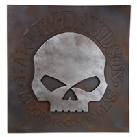 Wandbild 3D H-D Skull Metal