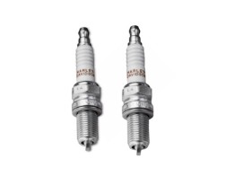 Zündkerzen 2 Stück für Twin Cam und Sportster-Modelle