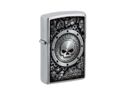 BRUSHED CHROME SKULL