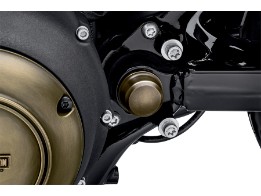 Bolzenabdeckung Schwingachse links - Brass Kollektion