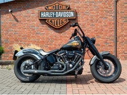 FLSS SOFTAIL Slim S 110