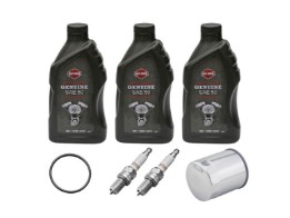Inspektionsset Sportster Chrom