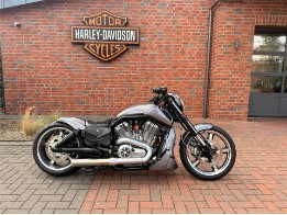 V-ROD MUSCLE