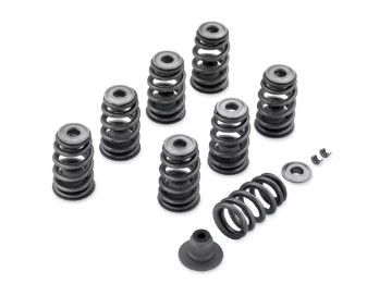 Performance Ventilfeder-Kit - Screamin Eagle