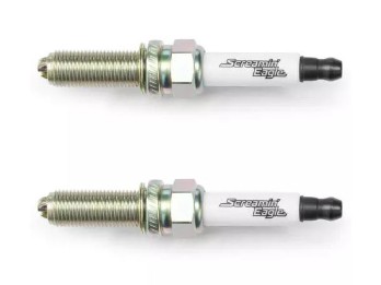 Screamin Eagle Zündkerze für Revoluion Max Motor - 2er Pack