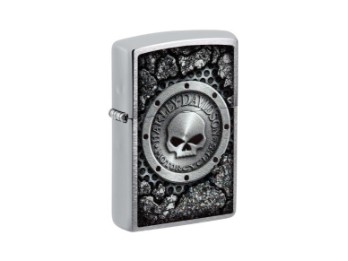 BRUSHED CHROME SKULL