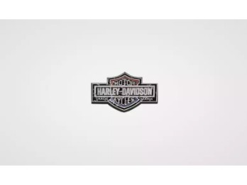 PIN FLAG TRADEMARK BAR&SHIELD