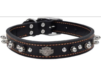 HUNDEHALSBAND SPIKES