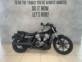 Nightster