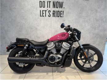 RH975 Nightster Sternrubin