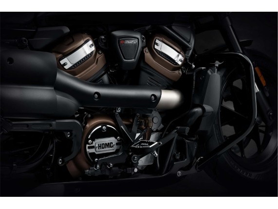 14101557 Zylinderkopfabdeckung Wild One Sporster S RH1250S (4) (1)