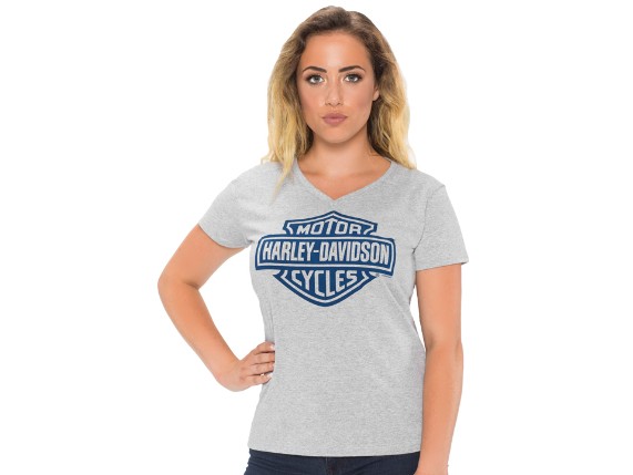 40290212_b_and_s_on_gray