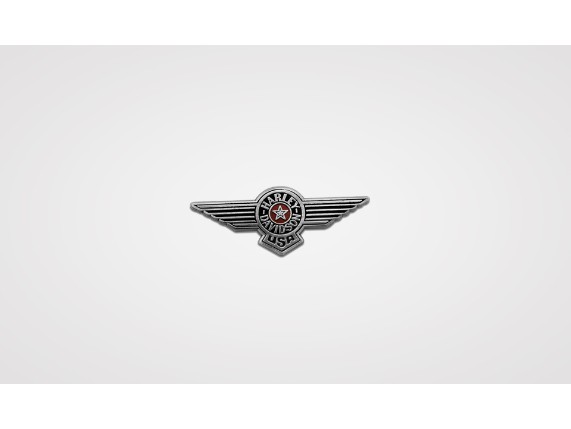 8009076 usa-wings-pin