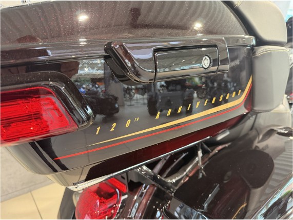 HARLEY-DAVIDSON CVO Road Glide Anniversary, 0009320