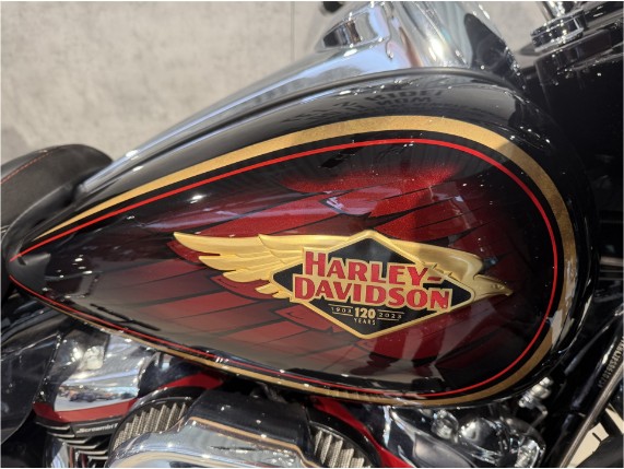 HARLEY-DAVIDSON CVO Road Glide Anniversary, 0009320
