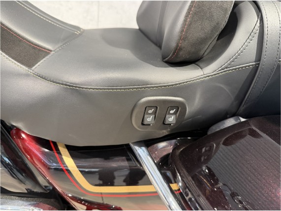 HARLEY-DAVIDSON CVO Road Glide Anniversary, 0009320