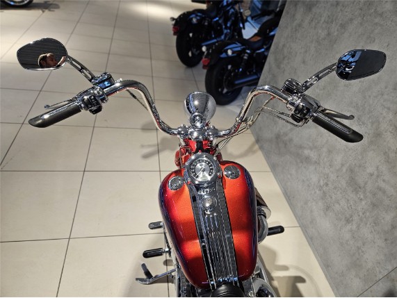 HARLEY-DAVIDSON CVO Softtail Springer, 1HD1PT9177Y950802