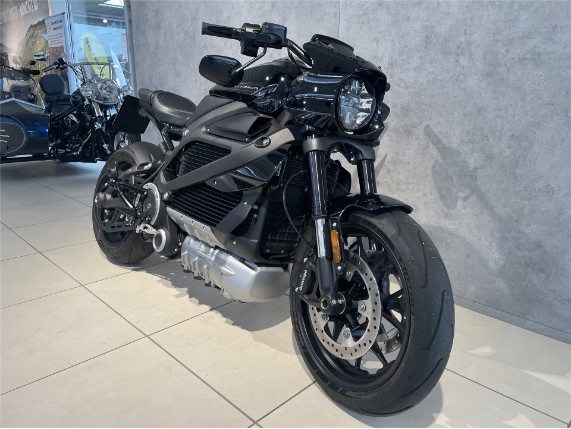 HARLEY-DAVIDSON ELW LiveWire, 5HD2XAED6LB802302