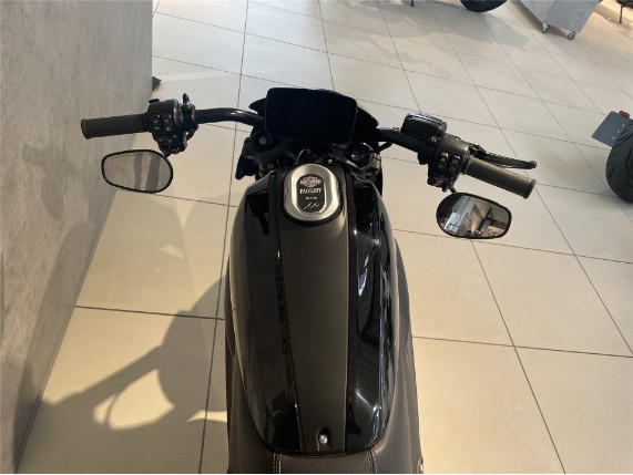 HARLEY-DAVIDSON ELW LiveWire, 5HD2XAED6LB802302