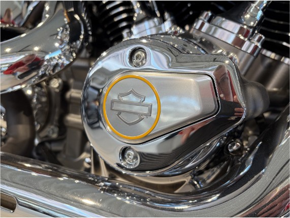 HARLEY-DAVIDSON FLFB Fat Boy Gray Ghost, 0010444