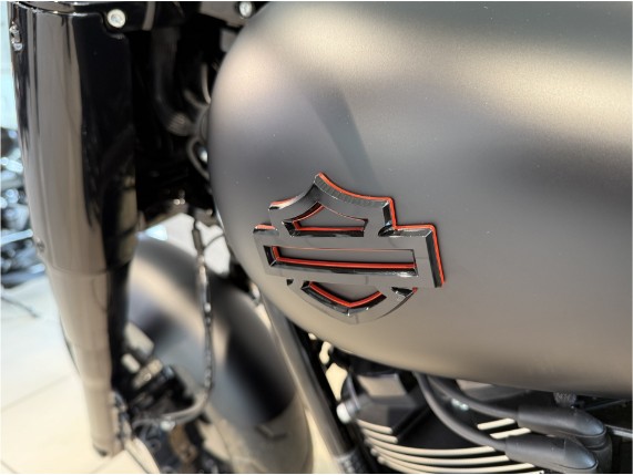 HARLEY-DAVIDSON FLFB Softail Fat Boy Custom, 0010026