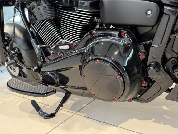 HARLEY-DAVIDSON FLFB Softail Fat Boy Custom, 0010026