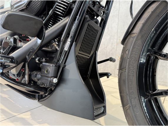HARLEY-DAVIDSON FLFB Softail Fat Boy Custom, 0010026