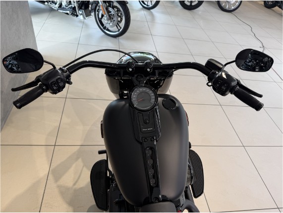 HARLEY-DAVIDSON FLFB Softail Fat Boy Custom, 0010026