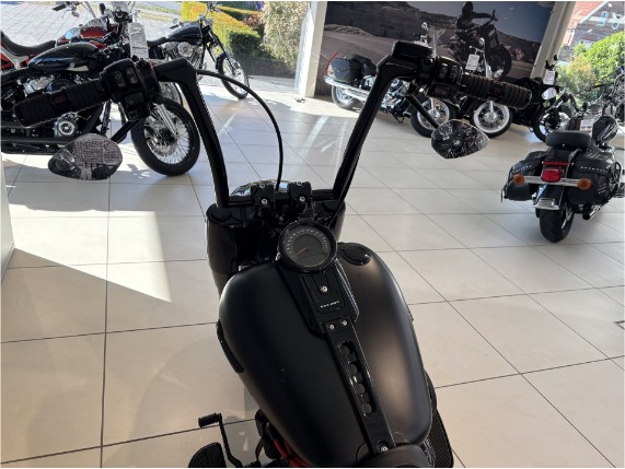 HARLEY-DAVIDSON FLFBS Softail Fat Boy Custom, 0009038