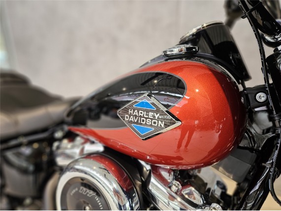 HARLEY-DAVIDSON FLHC Softail Heritage Classic, 0010528