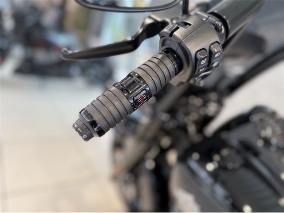 Harley-Davidson FLHRXS Road King Special, 0006553