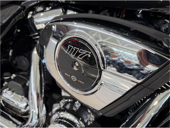 HARLEY-DAVIDSON FLHX Street Glide 117 Liberty, 0011360
