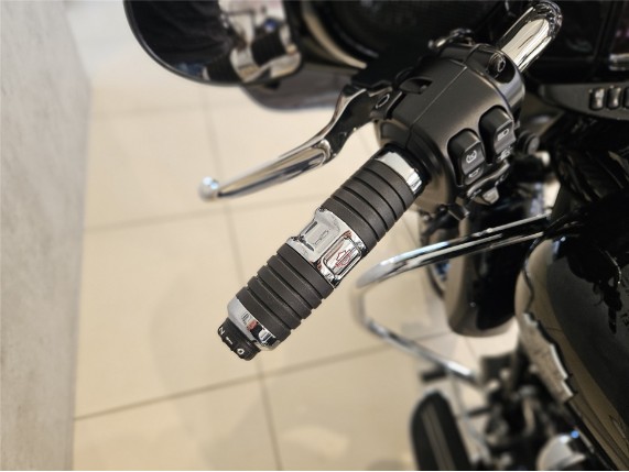 HARLEY-DAVIDSON FLHXS Street Glide Special, 0008527