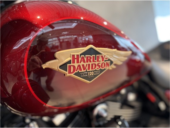 HARLEY-DAVIDSON FLHXS Street Glide Special Ann, 0008852
