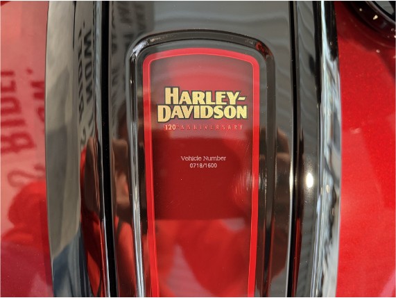 HARLEY-DAVIDSON FLHXS Street Glide Special Ann, 0008852