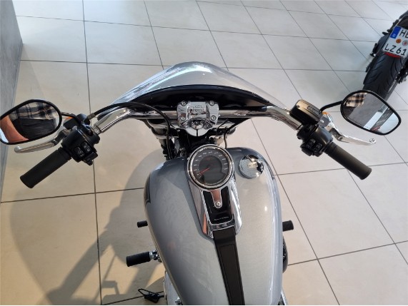 HARLEY-DAVIDSON FLSB Softail Sport Glide, 5HD1YMJ47PS057825