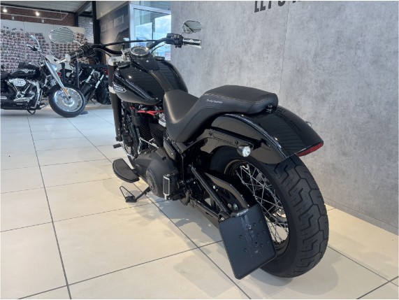 HARLEY-DAVIDSON FLSL Softail Slim, 0005421