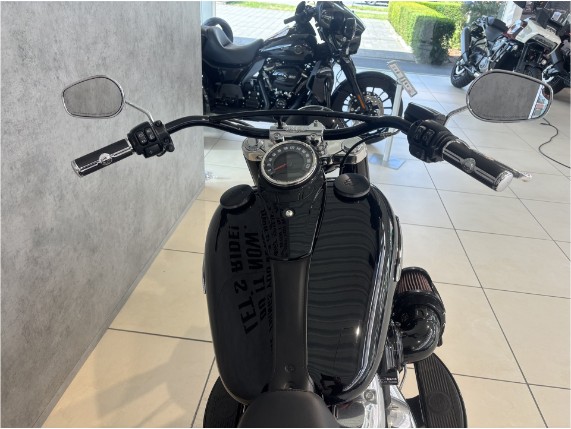 HARLEY-DAVIDSON FLSL Softail Slim, 0005421