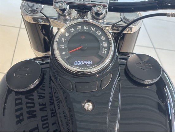 HARLEY-DAVIDSON FLSL Softail Slim, 0005421