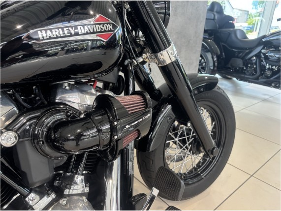 HARLEY-DAVIDSON FLSL Softail Slim, 0005421