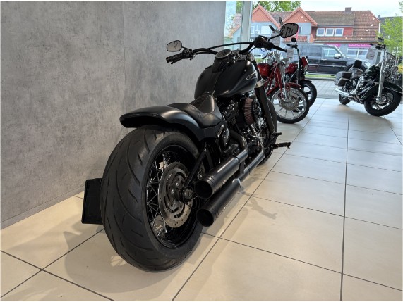 HARLEY-DAVIDSON FLSL Softail Slim 107, 0006838