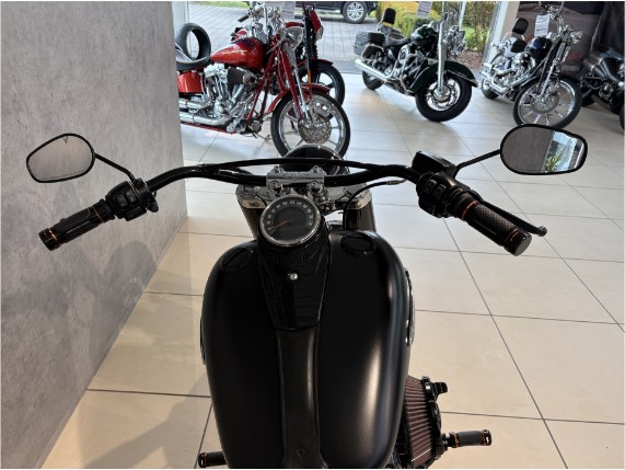 HARLEY-DAVIDSON FLSL Softail Slim 107, 0006838